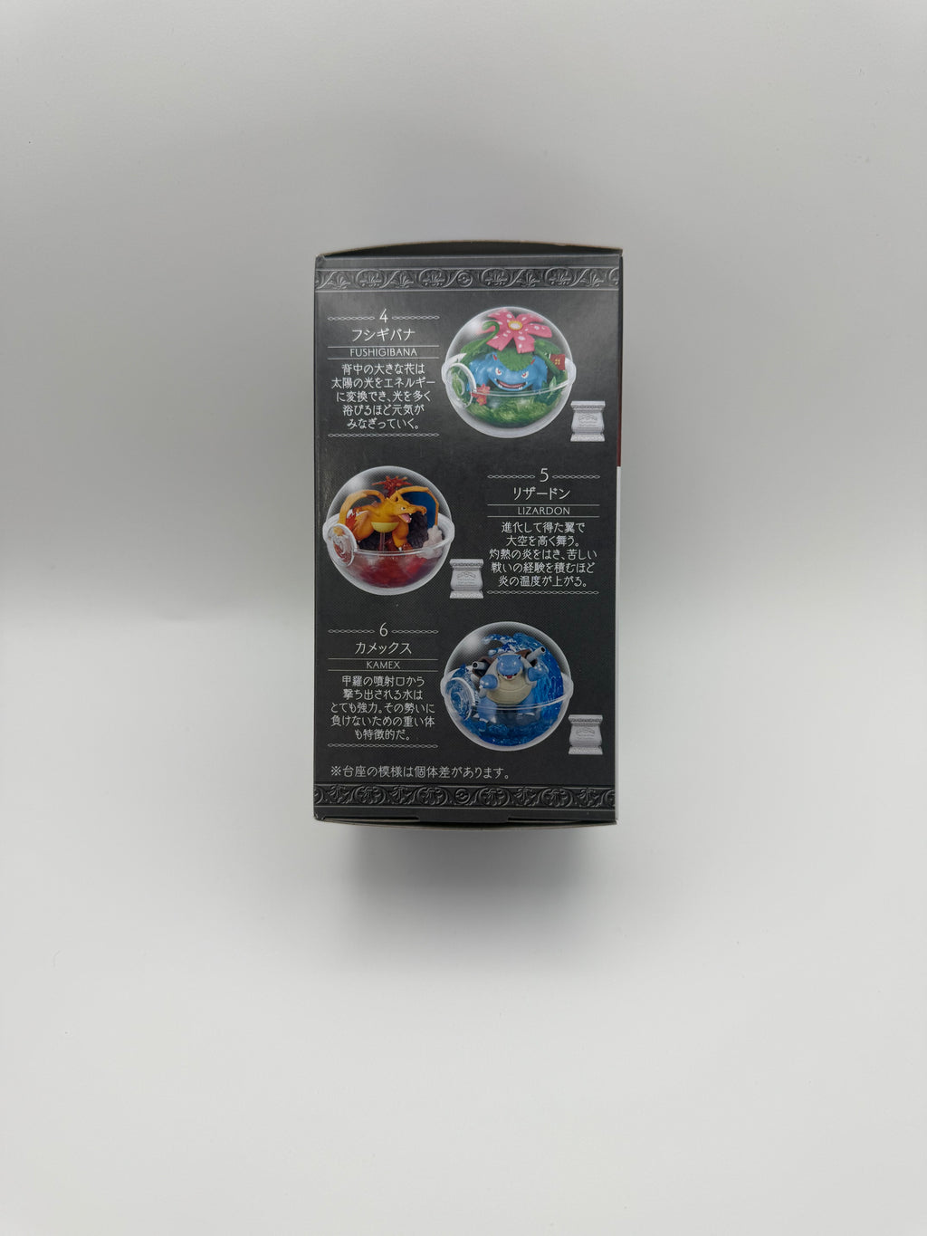 Terrarium Collection Blind Box