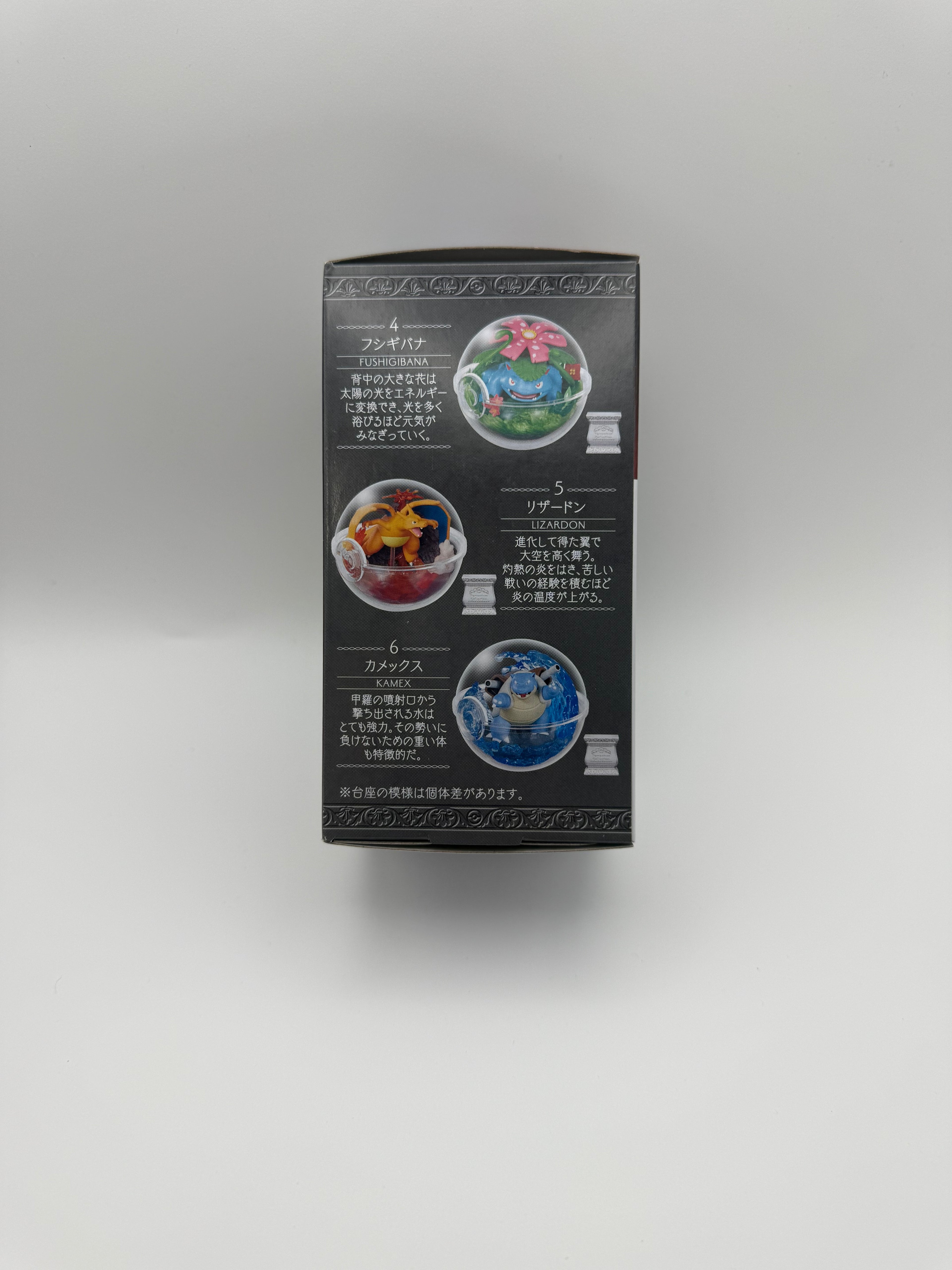 Terrarium Collection Blind Box